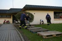 2010-04-19_03