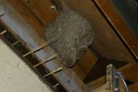 2010-04-19_52
