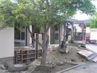 2010-07-05_18