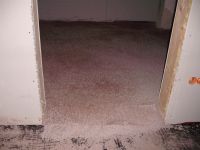 2010-11-01_07