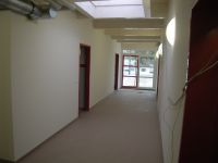 2011-01-29-06