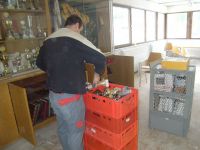 2011-01-29-10